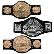 UFC Championship Belt Assortment Case
